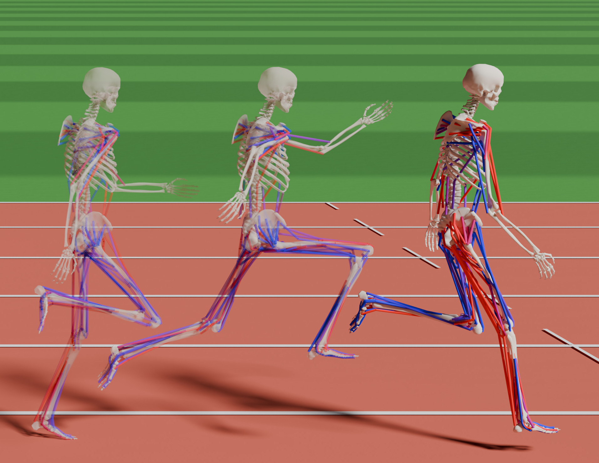 sprinter.jpg